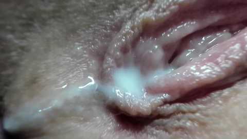 Media: courtney_luv Chaturbate 2024-10-10 16:52:00