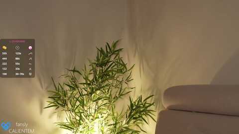 Media: ms_seductive Chaturbate 2024-10-10 15:08:00