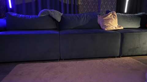 Media: sophia_lean Chaturbate 2024-10-10 00:05:00