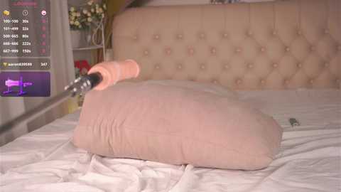 Media: islandladies Chaturbate 2024-10-11 18:07:00