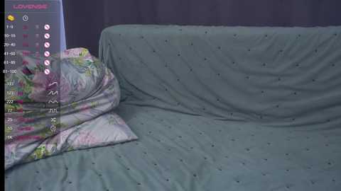 pollybeckey @ chaturbate on 20241011