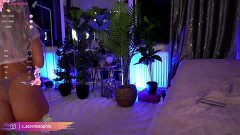 Media: serene_sophiex Chaturbate 2024-10-11 01:21:00