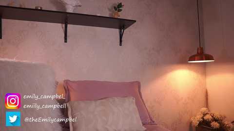 Media: emiilycampbell Chaturbate 2024-10-12 02:51:00