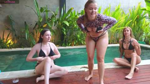 Media: dianaholiday Chaturbate 2024-10-13 10:05:00
