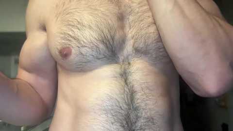 Media: musclehair3 Chaturbate 2024-10-13 20:59:00