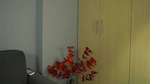 Media: ashley_ospino Chaturbate 2024-10-14 08:07:00