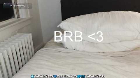 Media: bambiandfriends Chaturbate 2024-10-14 01:04:00