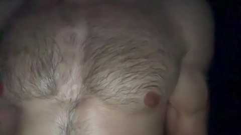 Media: musclehair3 Chaturbate 2024-10-14 23:02:00