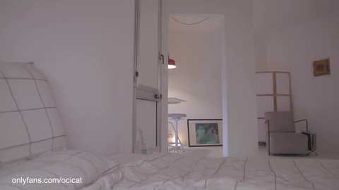 Media: ocicat Chaturbate 2024-10-14 00:44:00