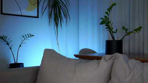 Media: taitehambelton Chaturbate 2024-10-14 04:09:00