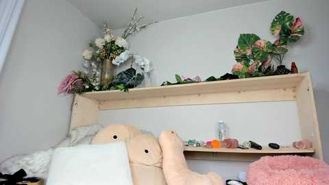 Media: fit_american_girl Chaturbate 2024-10-15 00:31:00
