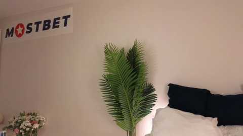 Media: tadammary Chaturbate 2024-10-16 10:02:00