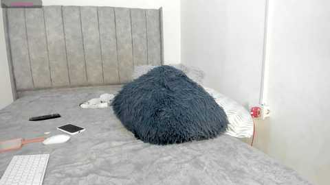 angel_villarreal @ chaturbate on 20241017