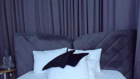 Media: awww_ella Chaturbate 2024-10-17 09:33:00