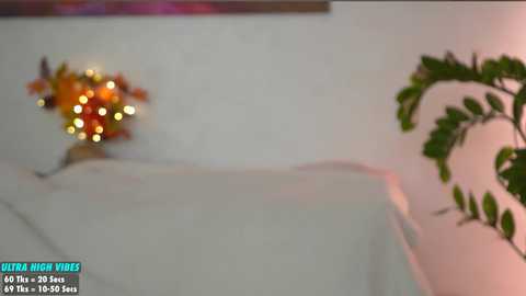 Media: sweety_rinushka_ Chaturbate 2024-10-17 14:12:00