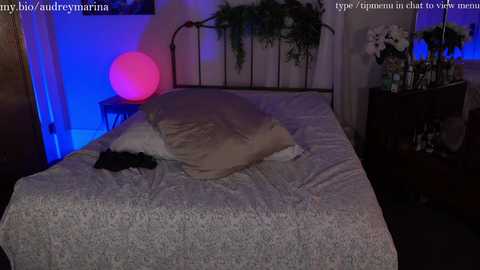 Media: audrey_ Chaturbate 2024-10-18 04:19:00