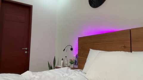 heyitscoco_xx @ chaturbate on 20241018