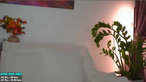 Media: sweety_rinushka_ Chaturbate 2024-10-18 15:13:00