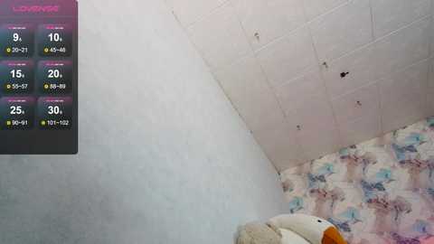 Media: tits_your_dreams Chaturbate 2024-10-18 11:48:00