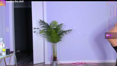 Media: yumeko_midari Chaturbate 2024-10-18 04:06:00