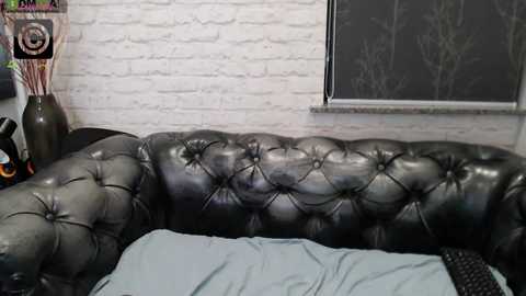 baeell @ chaturbate on 20241019