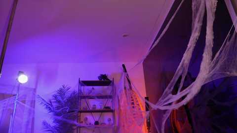 Media: goth_dolll Chaturbate 2024-10-20 00:10:00