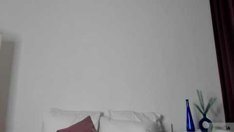 nicole_broown @ chaturbate on 20241020