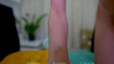 Media: sophydiva Chaturbate 2024-10-20 08:00:00