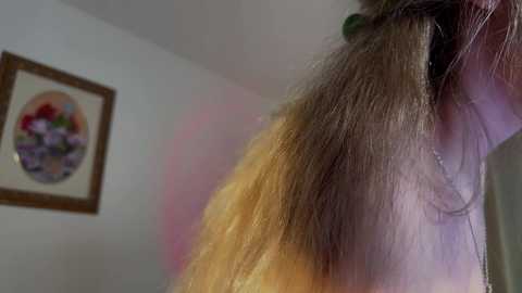 Media: tatti_1 Chaturbate 2024-10-20 00:59:00