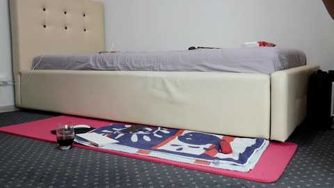 Media: carmela_fox Chaturbate 2024-10-21 12:25:00