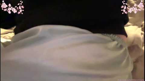 1000and1nights_ @ chaturbate on 20241022