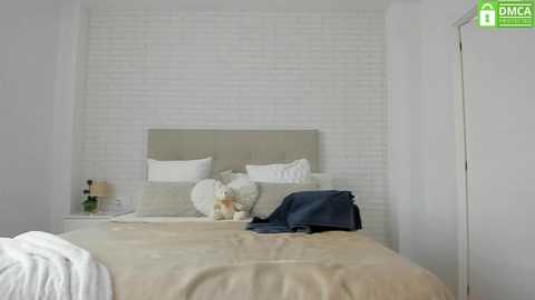 Media: barbieprincess Chaturbate 2024-10-22 13:00:00