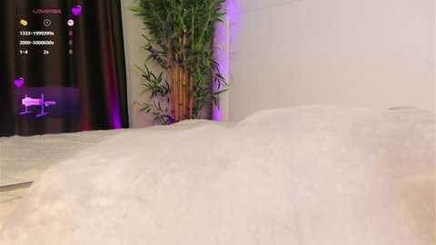 Media: islandladies Chaturbate 2024-10-22 04:08:00