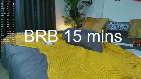 Media: alice_n_wooderland Chaturbate 2024-10-23 11:43:00