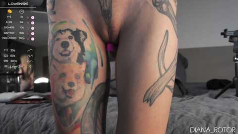 Media: diana_rotor Chaturbate 2024-10-23 12:31:00