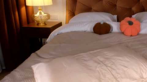 Media: roxy_blue_eyed_ Chaturbate 2024-10-23 14:27:00