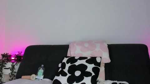 sansapole @ chaturbate on 20241023