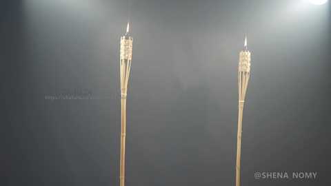 Media: shena_nomy Chaturbate 2024-10-23 02:06:00