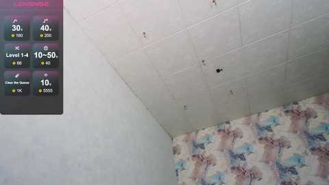 Media: tits_your_dreams Chaturbate 2024-10-23 09:24:00