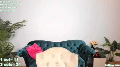frances_shine @ chaturbate on 20241024