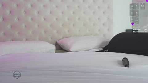 Media: kissing33 Chaturbate 2024-10-24 00:09:00