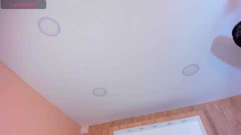 Media: veronica_garciaa Chaturbate 2024-10-24 12:58:00