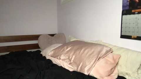 violetcraven @ chaturbate on 20241024