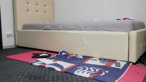 Media: carmela_fox Chaturbate 2024-10-25 14:06:00