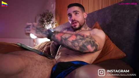 dominic_sullivan1 @ chaturbate on 20241025