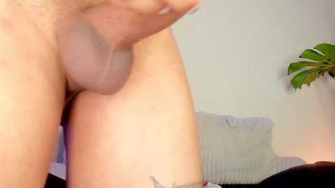 Media: scarett_jackson Chaturbate 2024-10-25 03:16:00