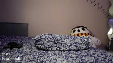 Media: bestblondiiecb Chaturbate 2024-10-26 20:43:00