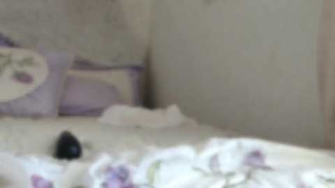 Media: littlegreekflower Chaturbate 2024-10-26 16:44:00
