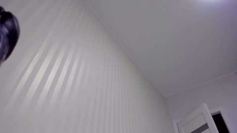 Media: aminaswan_ Chaturbate 2024-10-27 13:34:00