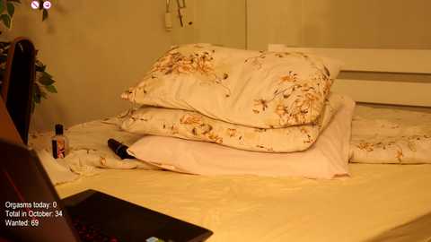 Media: ronny_ponny Chaturbate 2024-10-27 14:43:00